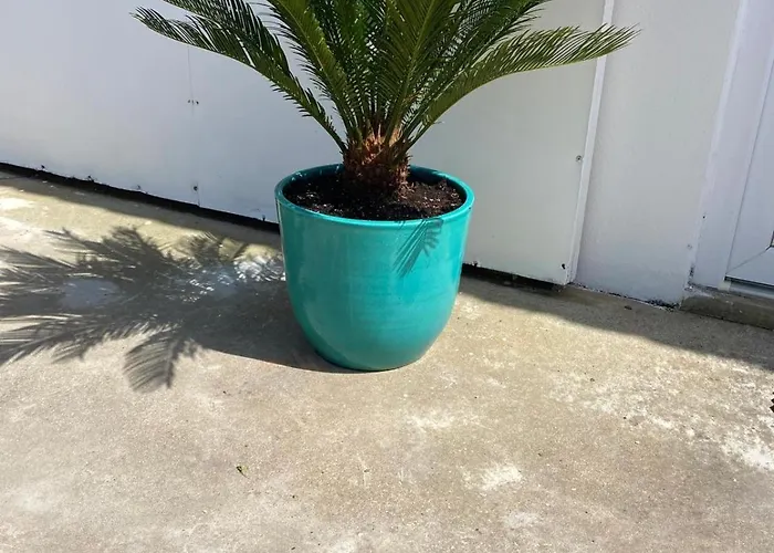 Amazigh - 3 Bedrooms, 2 Bathrooms And Pool 펜션 *