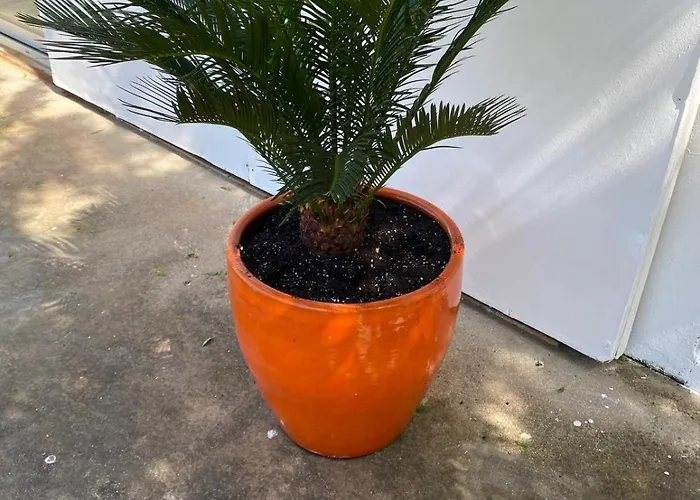 펜션 Amazigh - 3 Bedrooms, 2 Bathrooms And Pool *