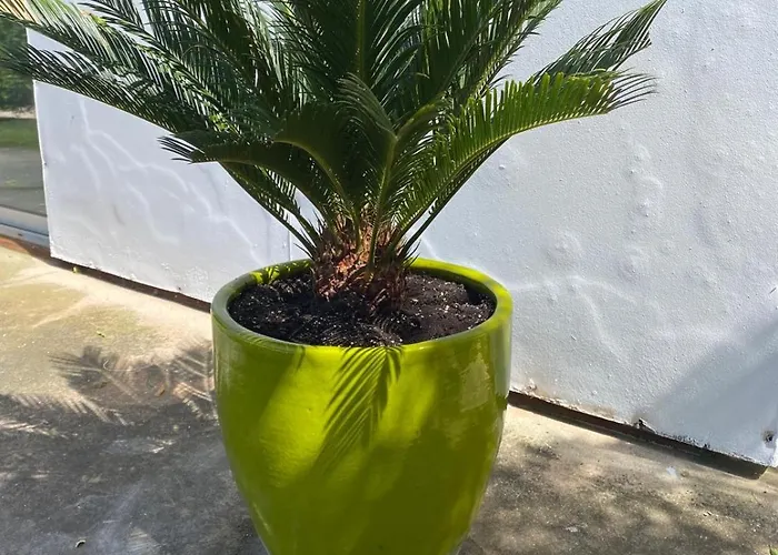 펜션 Amazigh - 3 Bedrooms, 2 Bathrooms And Pool 알제주르